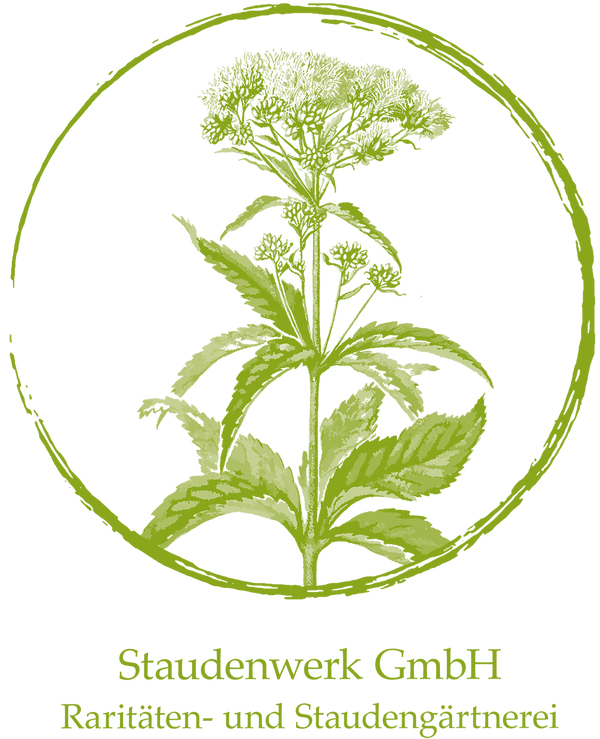 Staudenwerk GmbH